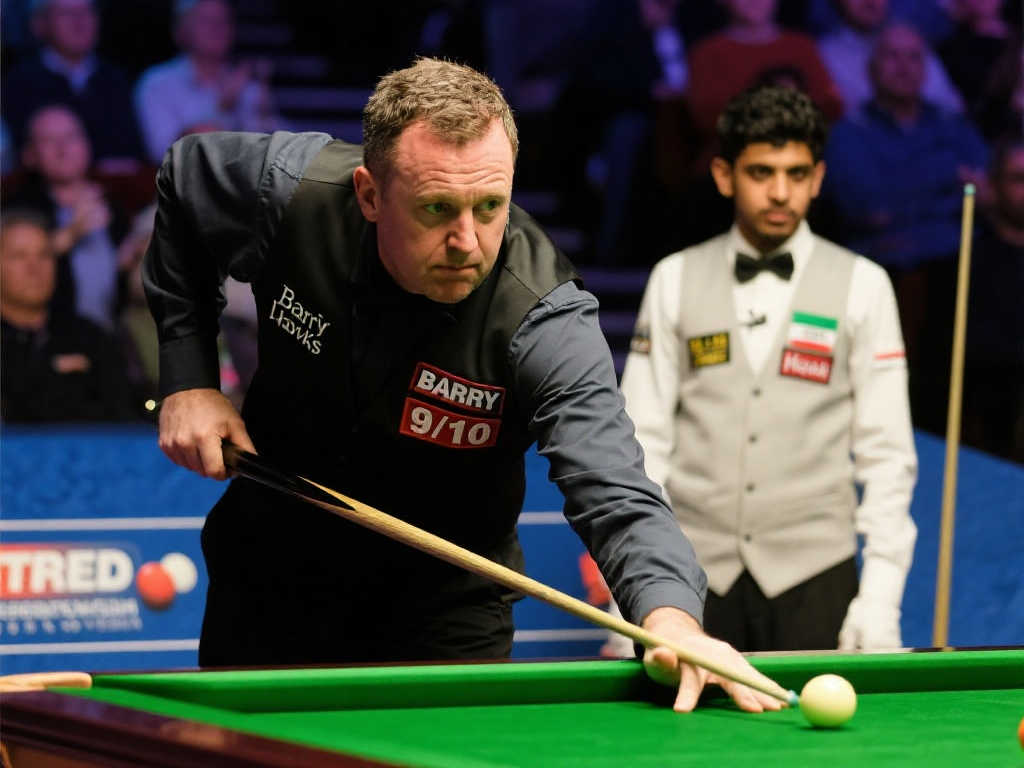 向世界展示 向世界展示